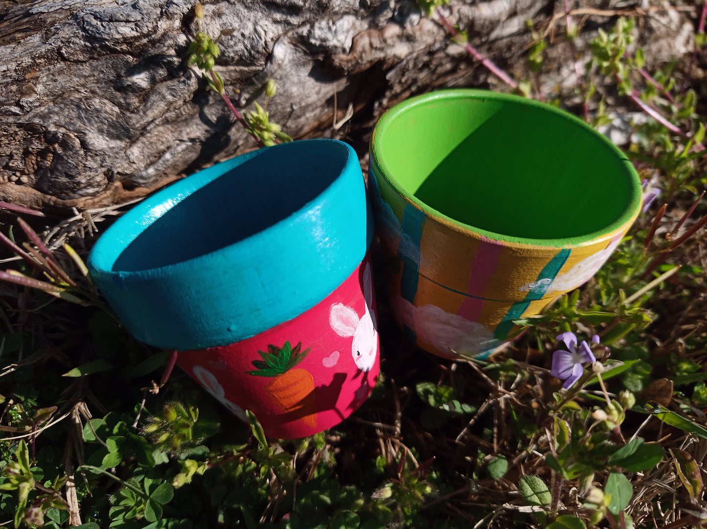 Soft Spring Bundle