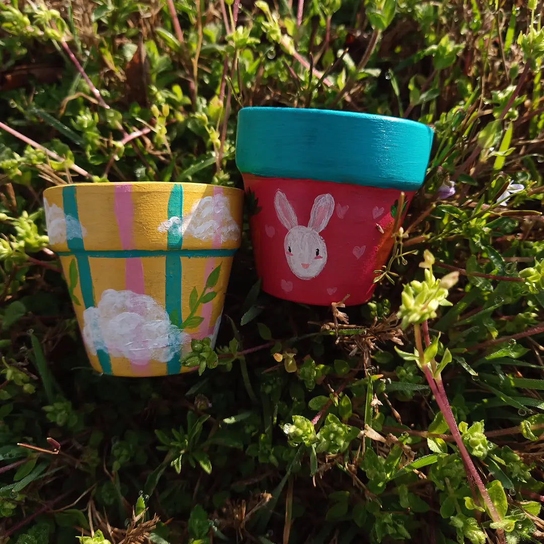 Soft Spring Bundle